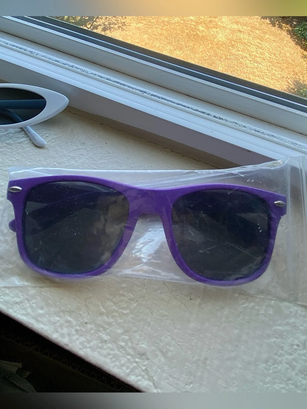 Classic Purple Wayfarer Sunglasses